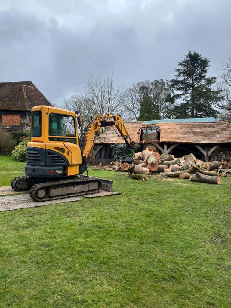 This is a photo of a tree which has grown through the roof of a barn that is being cut down and removed. There is a digger that is removing sections of the tree as well. Kempston Tree Surgeons