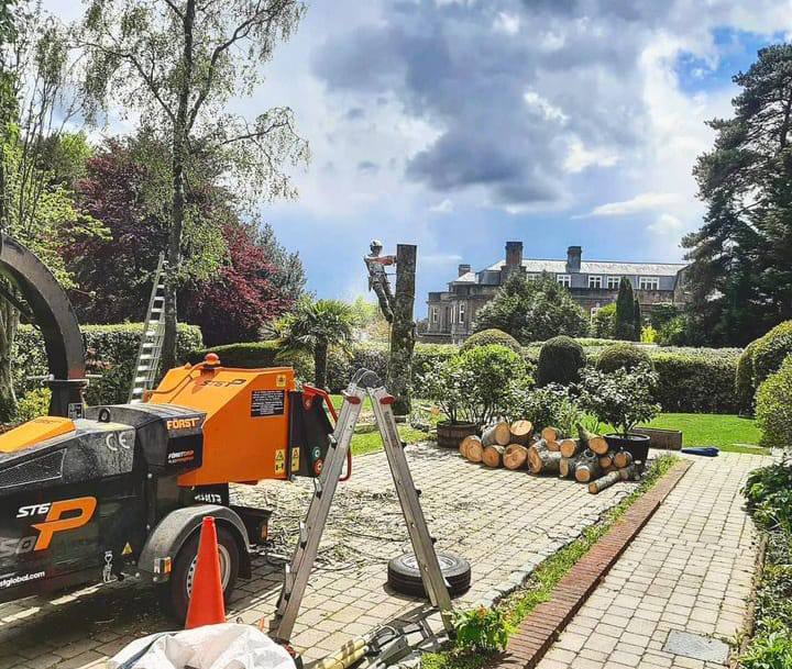 This is a photo of a tree being felled. A tree surgeon is currently removing the last section, the logs are stacked in a pile. Kempston Tree Surgeons