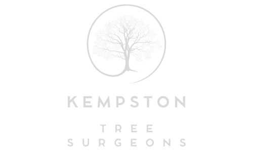 Kempston Tree Surgeons